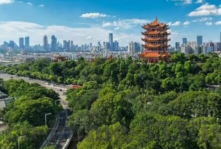 中国印度足球比分-中印足球对决，比分背后的竞技风云与未来期许
